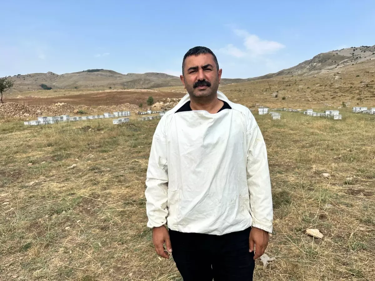 Munzur Balı Londra’da Altın Madalya Kazandı